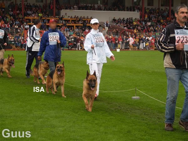 Isa in movimento